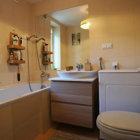 Mlyn Nad Sarenka Buzka