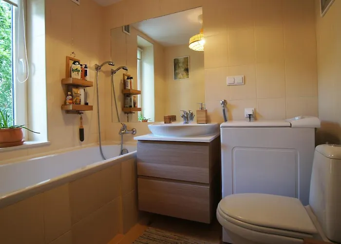 Młyn Nad Sarenką Buzka